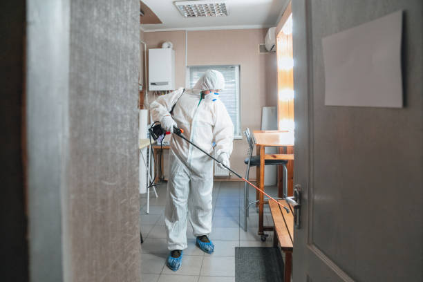 Best HVAC Mold Inspection and Cleaning  in Highland Lakes, AL