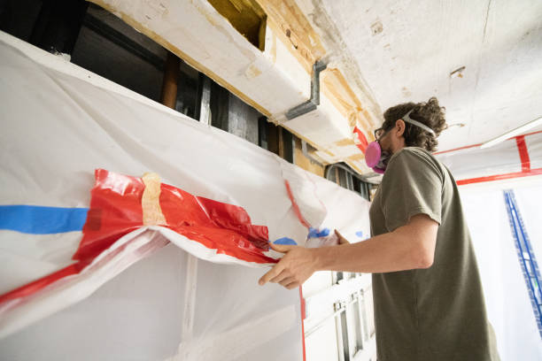 Best Attic Mold Removal  in Highland Lakes, AL