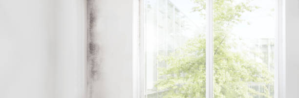 Best Mold Remediation for Healthcare Facilities  in Highland Lakes, AL